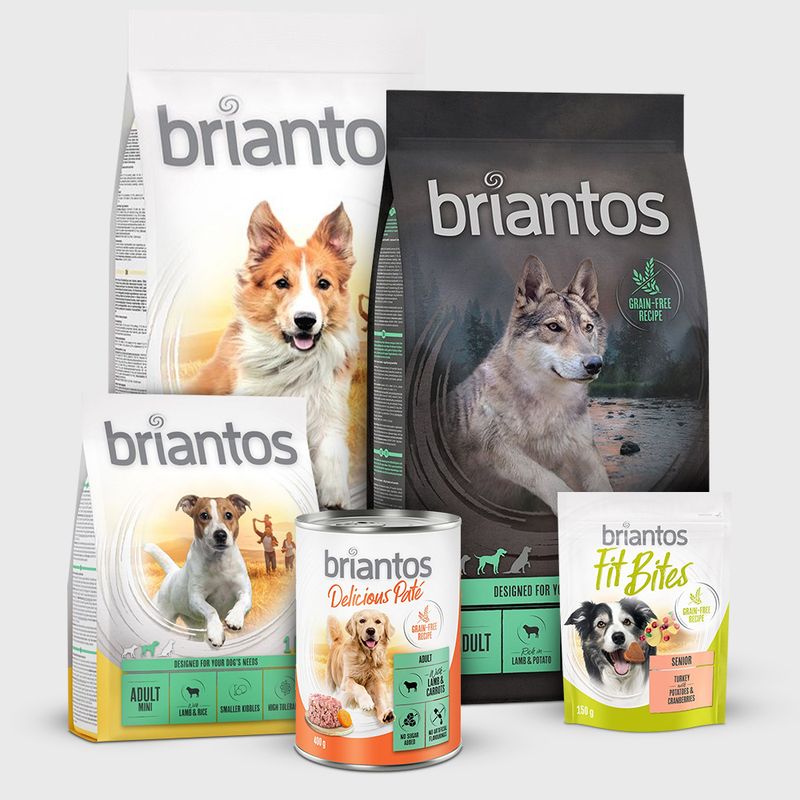 Briantos Grain-free Strips - Chicken || undefined || view 4