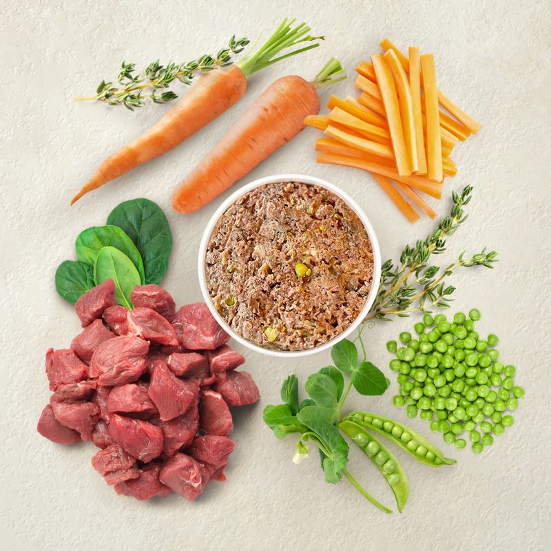 Ingredients: fresh beef, carrots, peas, spinach and herbs. Bowl with wet food made from these ingredients.