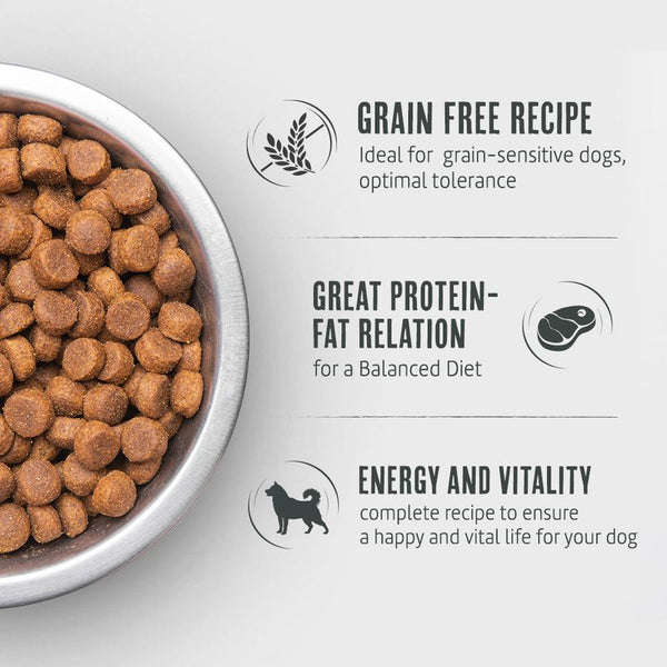 Briantos Junior Grain-Free Chicken & Potato || briantos || view 4