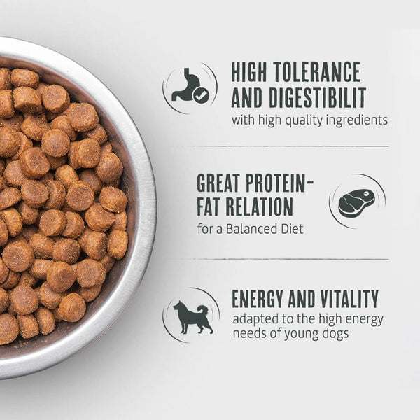 Briantos Junior || briantos || view 4