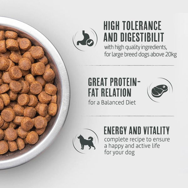 Briantos Maxi Adult || briantos || view 4