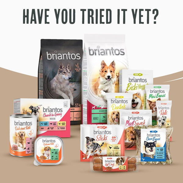 Briantos Maxi Adult || briantos || view 10