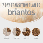 Briantos Adult Grain-Free Salmon & Potato || briantos || view 7