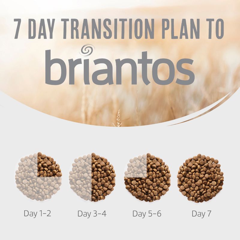 Briantos Adult Grain-Free Salmon & Potato || briantos || view 7