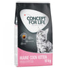 Concept for Life Maine Coon Kitten || Concept for Life || view 4