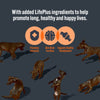 HiLife The Puppy One 8 x 150g || HiLife || view 4