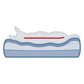 Illustration of an animal lying on an orthopaedic bed with memory foam. Red line shows ergonomic support along the spine.