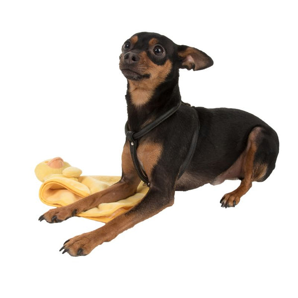 Puppy Blanky Quaxie || zooplus Exclusive || view 10