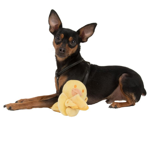 Puppy Blanky Quaxie || zooplus Exclusive || view 3