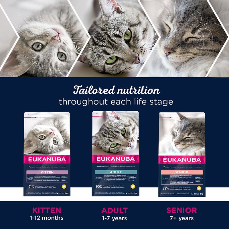 Eukanuba Sterilised/Weight Control Adult || undefined || view 6