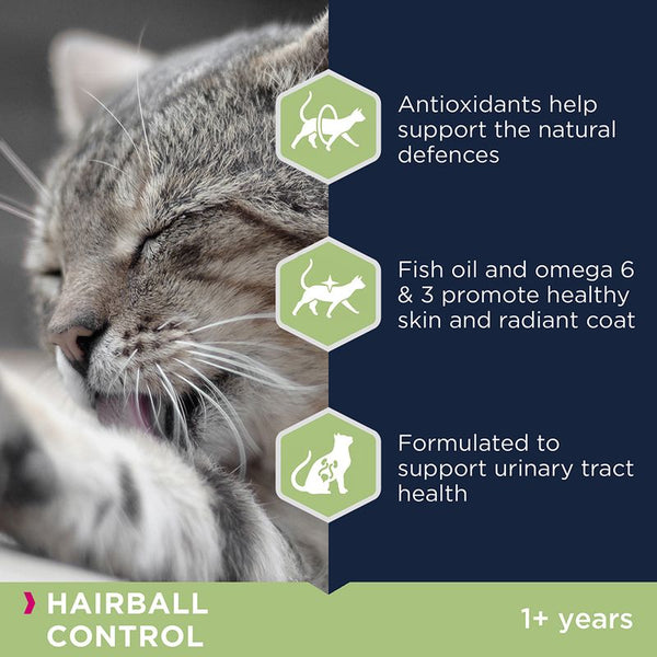 Eukanuba Hairball Control Adult || Eukanuba || view 4