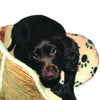 SnuggleSafe Heat Pad for Pets || SnuggleSafe || view 6