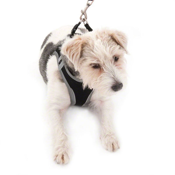 Feel Free Soft Dog Harness - Black || zooplus Exclusive || view 15