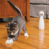 Cat playing with a red laser beam projected by a white automatic laser toy called Bolt.