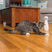 Grey cat playing on wooden floor next to a white cylindrical cat toy with red logo.