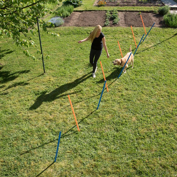 Fun & Sport Dog Agility Weave Poles || zooplus Exclusive || view 10
