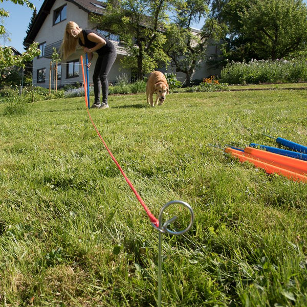 Fun & Sport Dog Agility Weave Poles || zooplus Exclusive || view 5