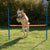 Fun & Sport Dog Agility Hurdle || zooplus Exclusive || view 1