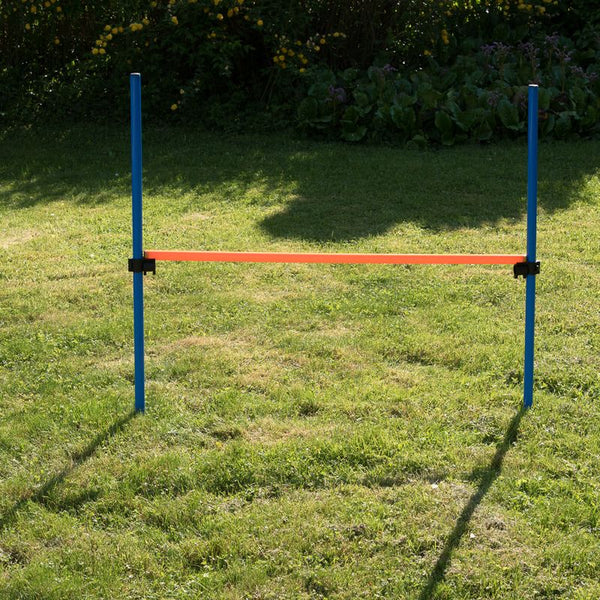 Fun & Sport Dog Agility Hurdle || zooplus Exclusive || view 6