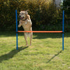 Fun & Sport Dog Agility Hurdle || zooplus Exclusive || view 7
