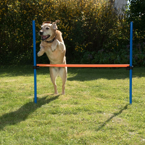 Fun & Sport Dog Agility Hurdle || zooplus Exclusive || view 7