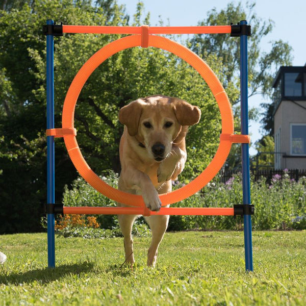 Fun & Sport Dog Agility Jumping Hoop || zooplus Exclusive || view 1