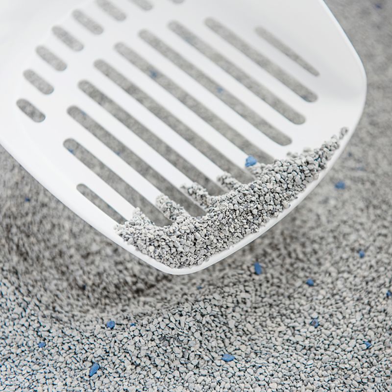 White litter scoop with grey cat litter and blue particles, suitable for cleaning cat toilets.
