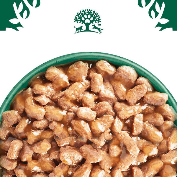 James Wellbeloved Adult Cat Hypoallergenic Pouches - Turkey in Gravy || James Wellbeloved || view 4