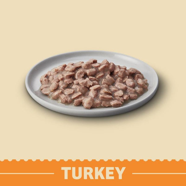 James Wellbeloved Kitten Hypoallergenic Pouches - Turkey in Gravy || James Wellbeloved || view 2