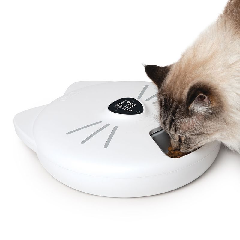 Automatic feeder in cat shape with digital display, cat eating dry food from the opening.