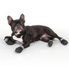 Sports & Protective Dog Boots || zooplus Exclusive || view 14