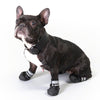 Sports & Protective Dog Boots || zooplus Exclusive || view 8