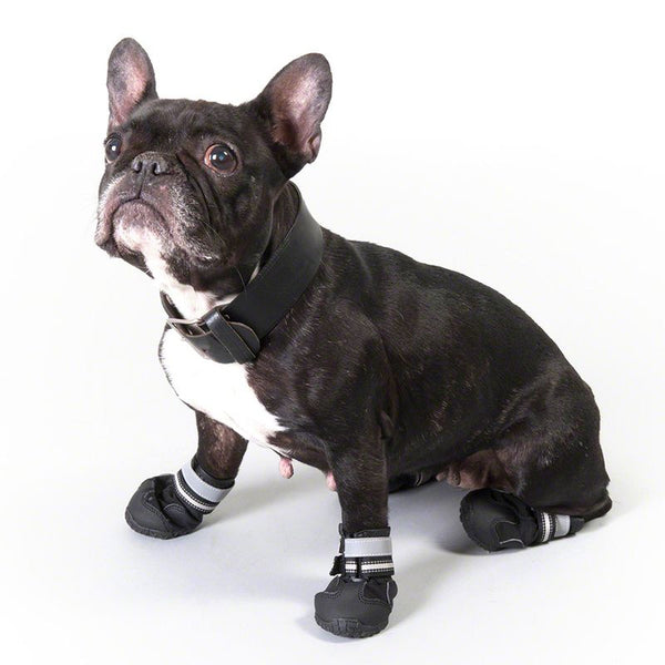 Sports & Protective Dog Boots || zooplus Exclusive || view 8