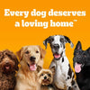 Pedigree Senior Pouch in Jelly Multipack || Pedigree || view 9