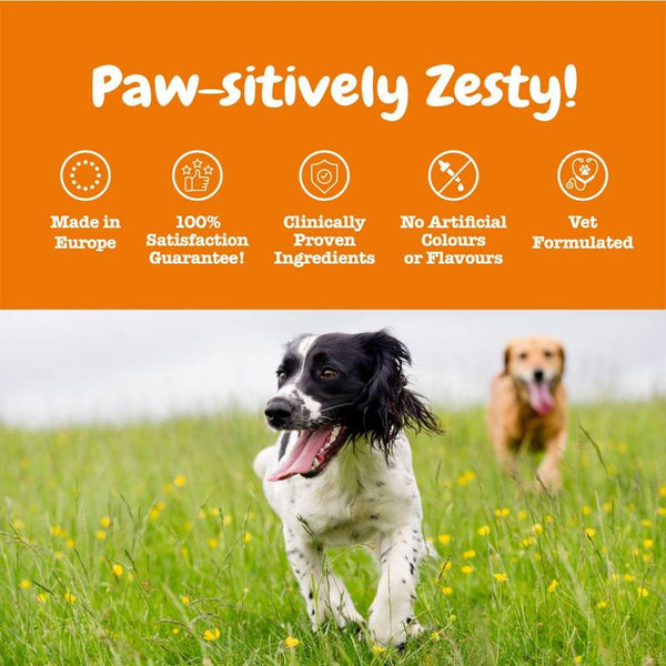 Zesty Paws Senior Advanced 9-in-1 Chews Multifunctional - Turkey || Zesty Paws || view 6