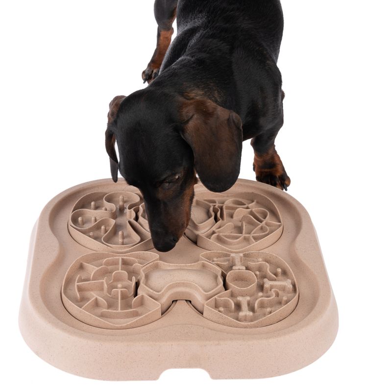 Dog examines interactive feeding toy with multiple mazes for slow feeding.