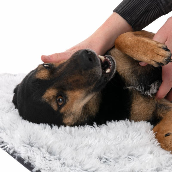 TIAKI Dog Blanket Cloud || TIAKI || view 11