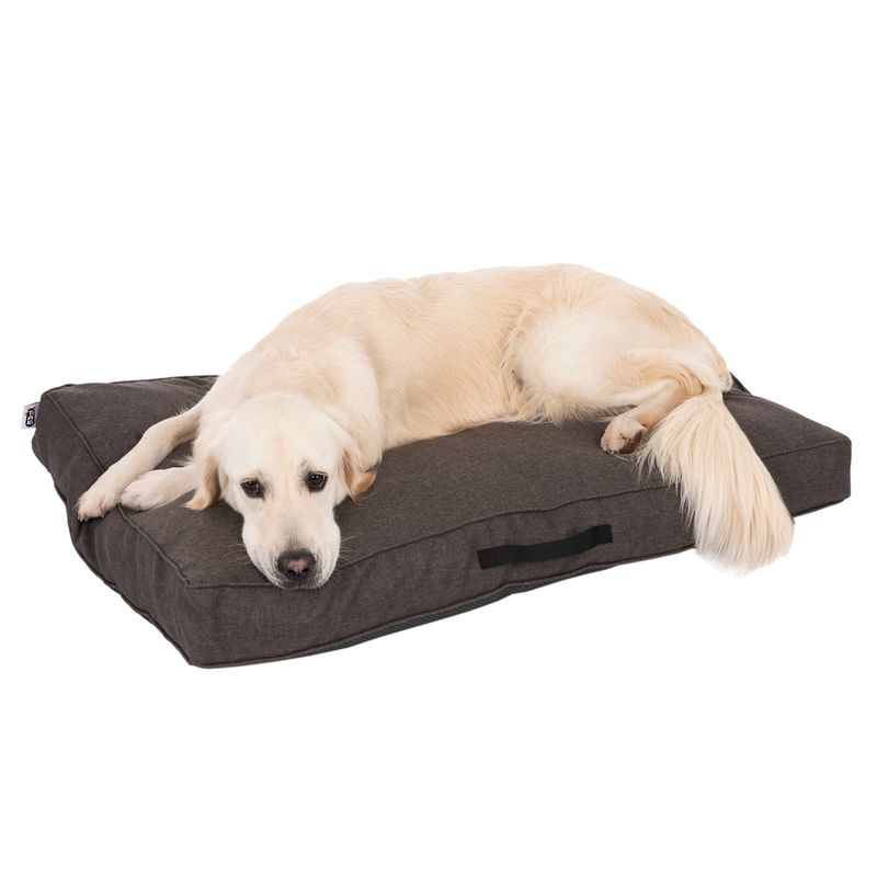 Dog lying on a dark grey dog cushion with carrying handle. Product shows comfort and size of the cushion.