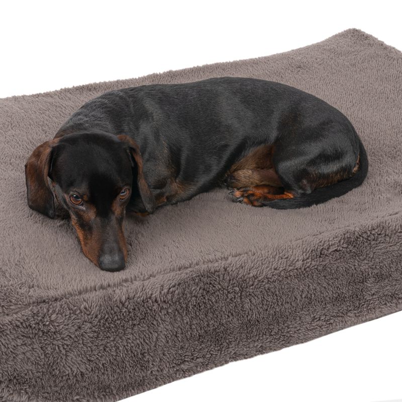 Black dachshund lying on a grey, fluffy dog bed.