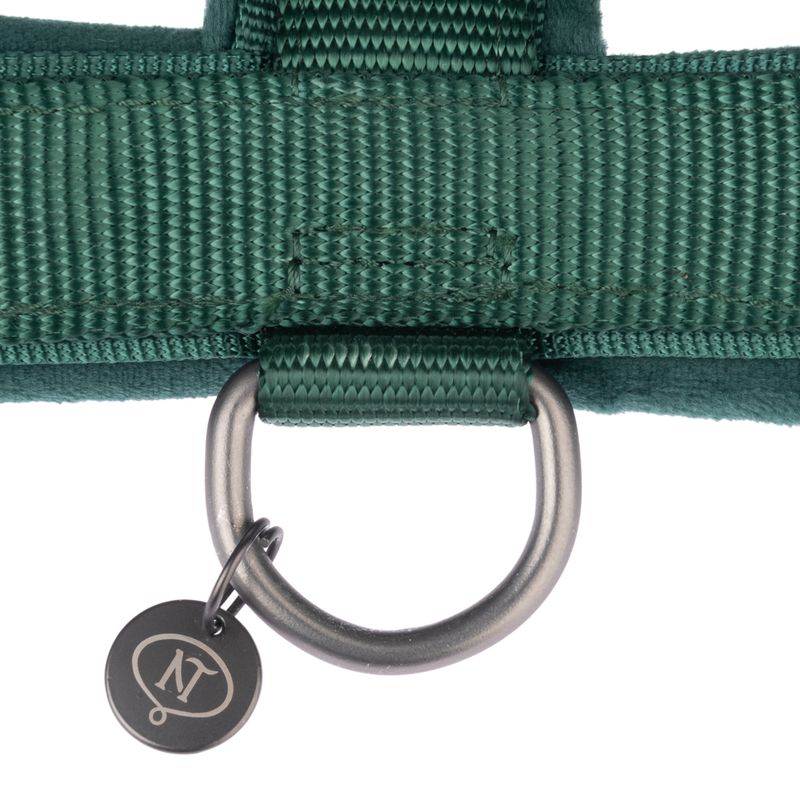 Green nylon collar with metal ring and pendant featuring NT logo.