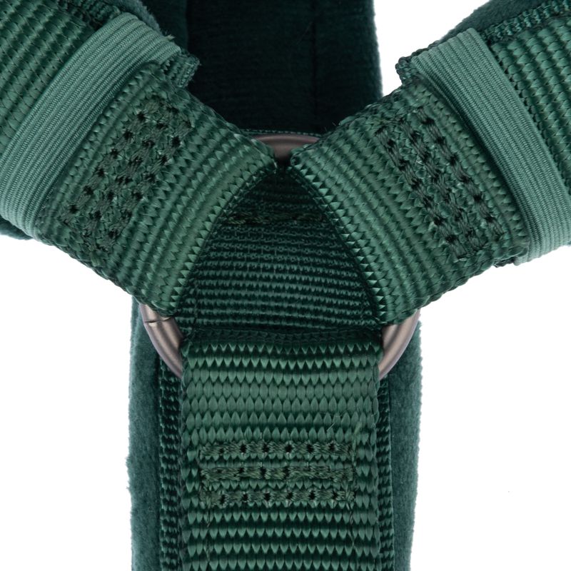 Close-up of a green nylon strap with metal ring and reinforced stitching.