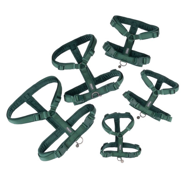 Nomad Tales Blush Harness - Emerald || Nomad Tales || view 22