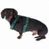 Nomad Tales Blush Harness - Emerald || Nomad Tales || view 8