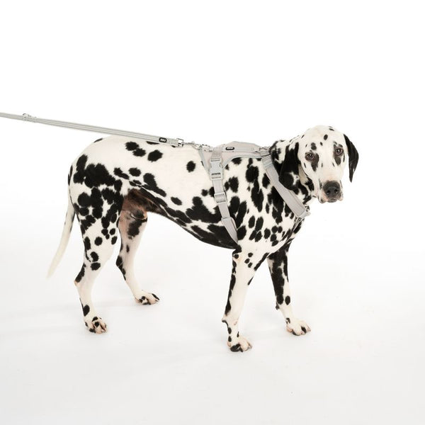 TIAKI Neoprene Harness - Grey || TIAKI || view 11