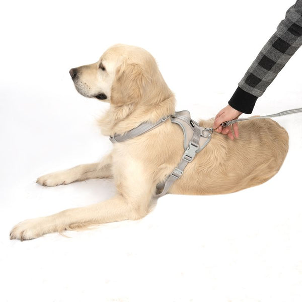 TIAKI Neoprene Harness - Grey || TIAKI || view 4