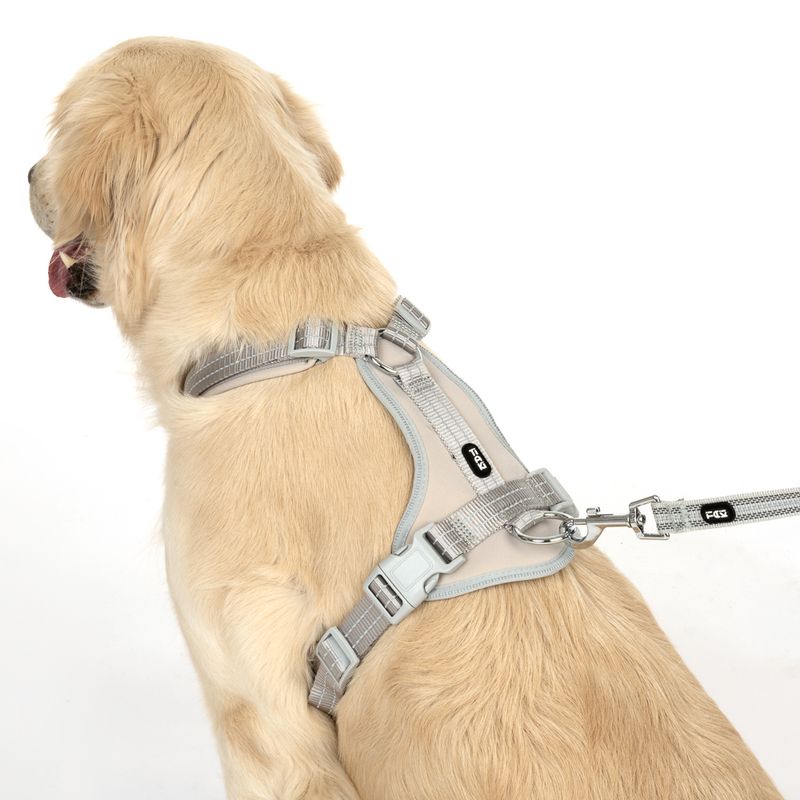 TIAKI Neoprene Harness - Grey || TIAKI || view 3