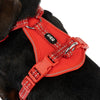 TIAKI Neoprene Harness - Red || TIAKI || view 6