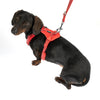 TIAKI Neoprene Harness - Red || TIAKI || view 11