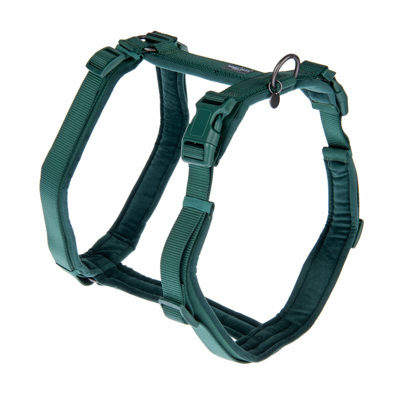 Green adjustable harness with padded straps and click fasteners, suitable for pets. Metal ring for attachment visible.