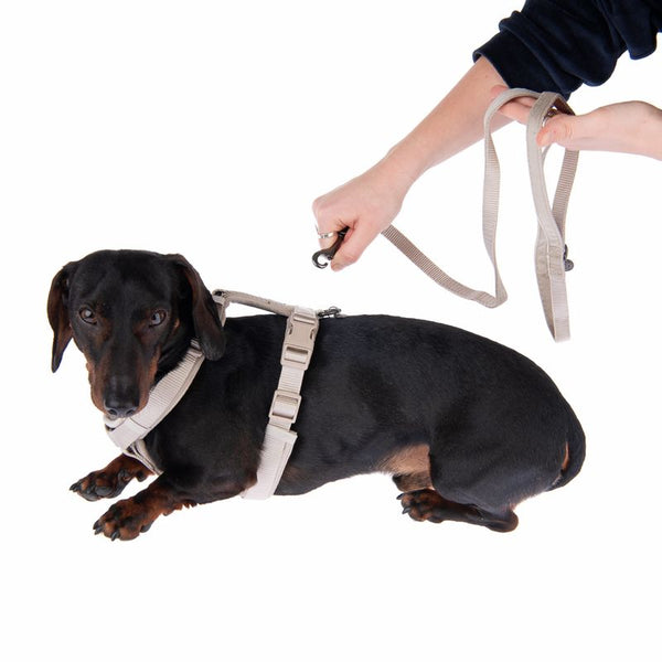 Nomad Tales Blush Dog Leash, taupe || Nomad Tales || view 15